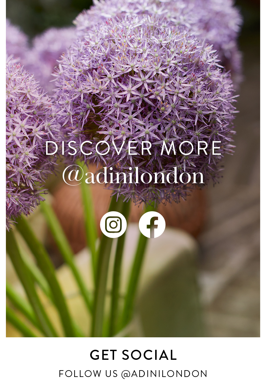 Adini London Facebook